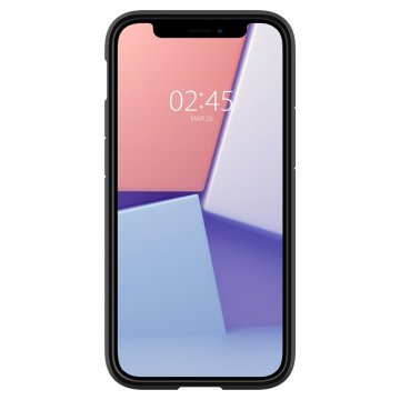 iPhone 12 / iPhone 12 Pro Kılıf, Spigen Crystal Hybrid Matte Black