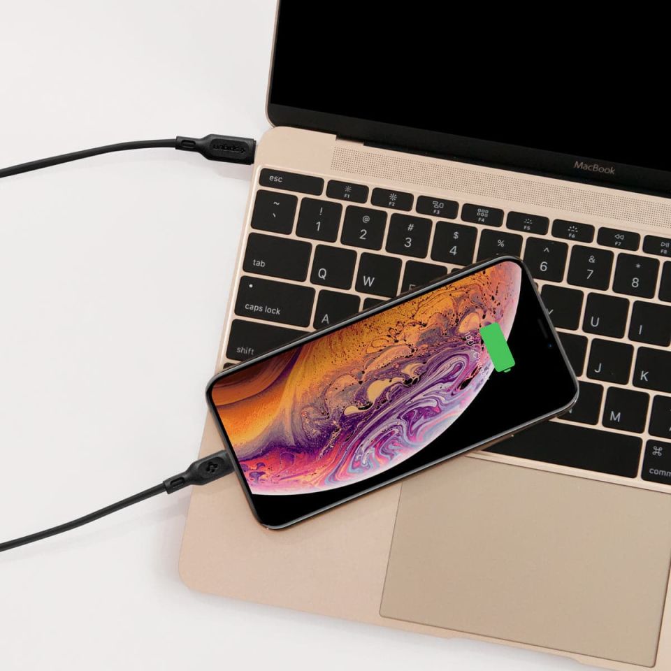 Spigen Essential USB-C to Lightning (1 Metre) Hızlı Şarj/Data Kablosu MFI Lisanslı (2 Adet) C10CL Black